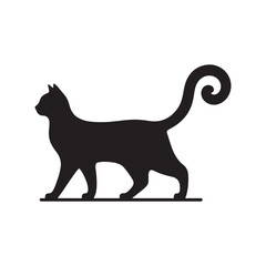 black cat on white background