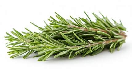 Fototapeta premium Fresh Rosemary Sprigs Isolated on White Background