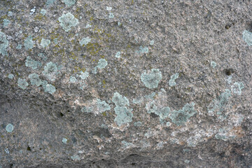 Intricate textures of a weathered rock adorned with vibrant lichen