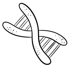 Chromosome