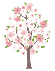 Obraz premium 벚꽃나무