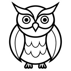 owl on white background