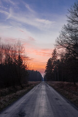 Prosta leśna droga w bezśnieżną zimę. Jest wieczór, bezchmurne niebo zabarwiło się na czerwono. © boguslavus