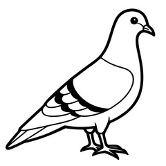 Pigeon silhouette vector illustration 