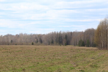 Obraz premium fields and forests of northeastern Europe in mid-spring