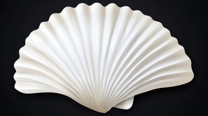 Elegant White Shell on Dark Background