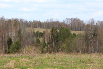 fields and forests of northeastern Europe in mid-spring
