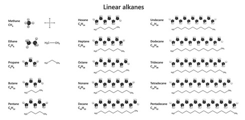 Collection of Linear (straight-chain) Alkanes. Class of saturated hydrocarbons with continuous unbranched chain. Model of molecules from methane to pentadecane. White background. 3D illustration