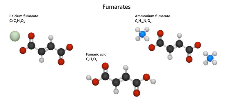 Set of Fumarates. Esters or salts of fumaric acid. They are used in food preservation and as dietary supplements. White background. 3D illustration.