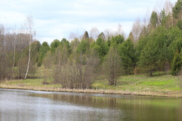 Obraz premium forest on the lake shore in mid-spring