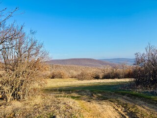 Obraz premium road in the mountains