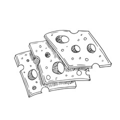 Cheese slices illustration, drawing, engraving, ink, line art, vector