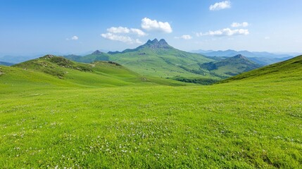 Fototapeta premium Mountain Meadow Panorama, Expansive Green Valley, Sunny Day