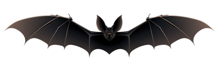 Stylized black bat silhouette with spread wings on transparent background
