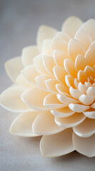 close up of delicate lotus blossom with intricate petals, showcasing soft cream colors and serene beauty
