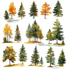Fototapeta premium Watercolor Paintings of Autumn Trees and Conifers
