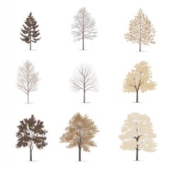 Fototapeta premium Nine Different Tree Types Illustrated Against White Background