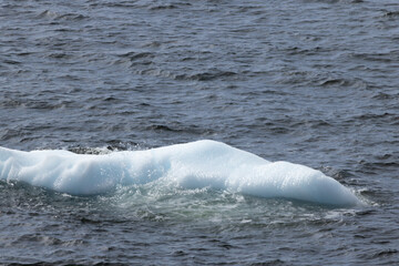 Iceberg floating in the Southern Ocean