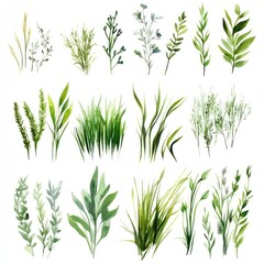 Obraz premium Watercolor Collection of Green Greenery and Plants