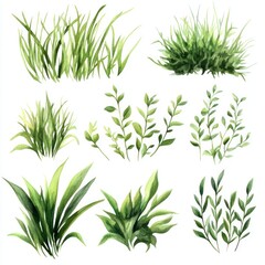 Obraz premium Watercolor Illustrations of Various Green Greenery Plants