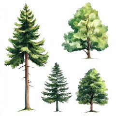 Fototapeta premium Watercolor Painting of Four Different Trees