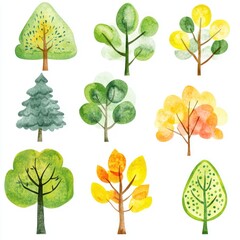 Fototapeta premium Watercolor Illustrations Of Nine Different Types Of Trees