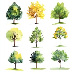 Nine Watercolor Paintings of Various Trees in Different Seasons