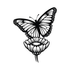 Create an editable stroke vector graphic of a butterfly delicately perched on a vibrant flower.  Ensure high-resolution detail for easy scaling.