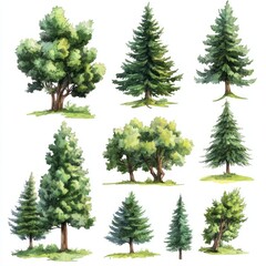 Fototapeta premium Watercolor Collection Of Diverse Green Trees Isolated On White