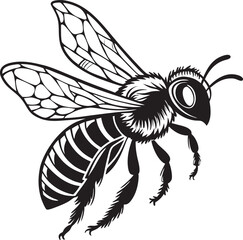 vector illustration of a bee