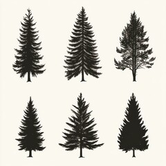 Fototapeta premium Six Black Silhouettes of Evergreen Trees on White