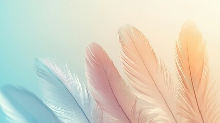Naklejka premium Soft Feathers Gentle Lightness of Being Art and Design