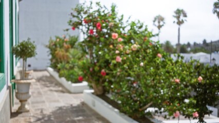 Outdoor scene with blurred vibrant flowers and plants against the backdrop of lanzarote's serene gardens in canary islands, spain, creating a bokeh effect