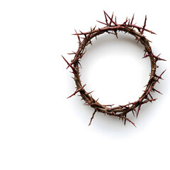 Fototapeta premium A crown of thorns top view isolated on a white background