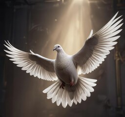 Obraz premium Stunning white dove with outstretched wings in dramatic lighting, peaceful, wildlife