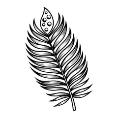 Obraz premium Create a vector illustration of a single palm leaf with water droplets, featuring an editable stroke for easy customization. High-resolution, detailed, tropical.