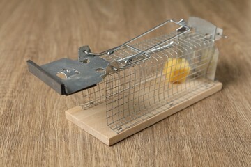 Metal mouse trap with piece of cheese on floor, closeup