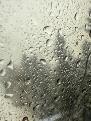 Rain Drops on a Window with Blurred Trees in Background