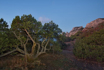 Russia, Novy Svet. Amazing dawn view from Cape Kapchik to the surrounding bay of the Crimean Peninsula.