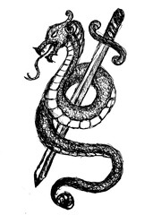 Obraz premium Black and white drawing: a dragon wrapped around a sword