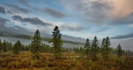 Russia. The Republic of Buryatia. A soft multicolored dawn with a misty mystery in the valley of the Oka River near the source.