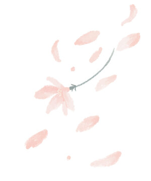 pink cherry blossom in spring