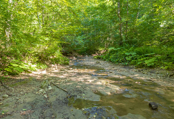 Obraz premium A shallow riverbed with an exposed rocky bottom, a small flow of water, in the summer