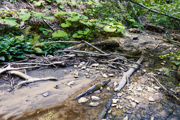 A shallow riverbed with an exposed rocky bottom, a small flow of water, in the summer