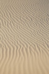 Death Valley National Park's stunning Mesquite Flat Sand Dunes near Stovepipe Wells