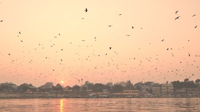 4k Banaras Ghat 09 pigeons on Ghat Vanarasi Ghat India Camera Raw footage Katni cine films
