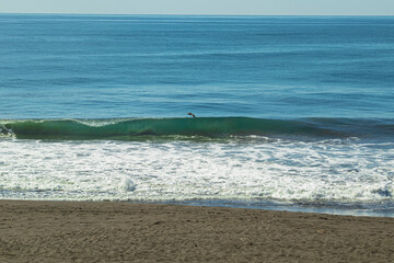 waves on the beach