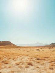 Fototapeta premium Desert Horse Rider
