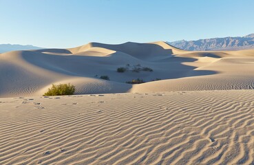 Death Valley National Park's stunning Mesquite Flat Sand Dunes near Stovepipe Wells
