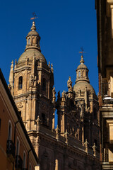 Salamanca Cathedral Details in Salamanca, Spain.